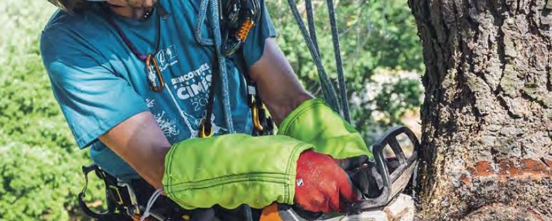 Forstschutzbekleidung – Hochwertige Schutzkleidung für sichere Forstarbeiten | Forstschutzkleidung – Robuste PSA für Waldarbeiter und Förster | Forstbekleidung – Funktionale Arbeitskleidung für Forstwirtschaft und Baumpflege | Schutzkleidung Forst – Zerti